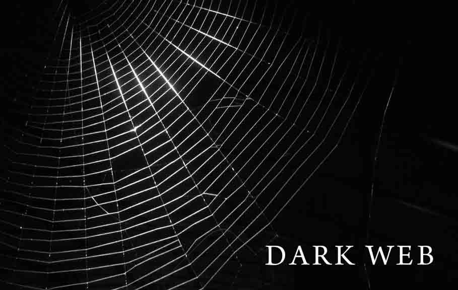 Dark Web, Surface Web: How do you access it?